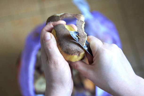 damskie ręce obierające ziemniaki specjalnym nożem - root vegetable raw potato human skin root zdjęcia i obrazy z banku zdjęć