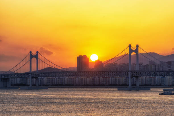 istock Busan Gwangandaegyo Bridge 1131124668