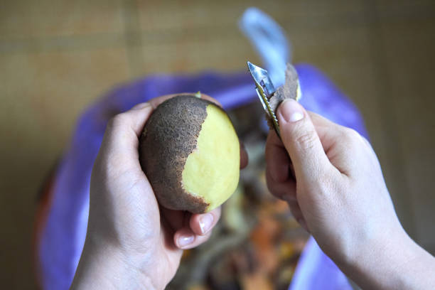 女性の手は、特別なナイフでジャガイモを剥離 - root vegetable raw potato human skin root ストックフォトと画像