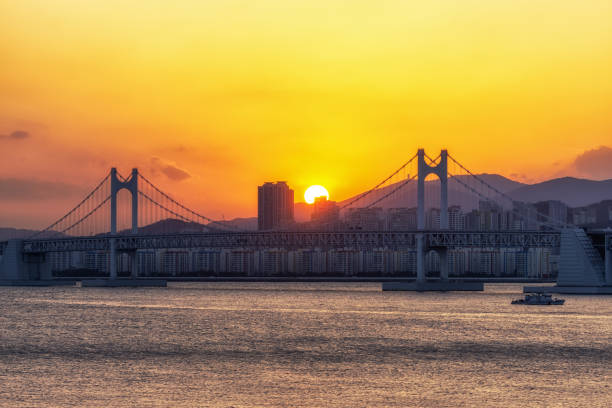 istock Busan Gwangandaegyo Bridge 1131124888