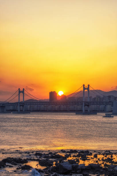 istock Busan Gwangandaegyo Bridge 1131124913