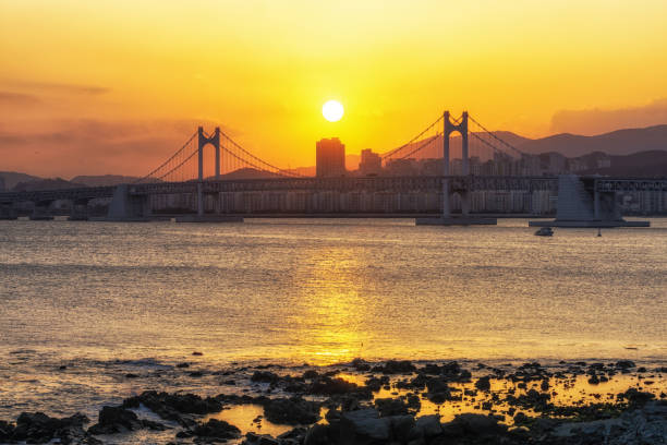 istock Busan Gwangandaegyo Bridge 1131125294