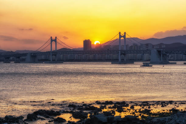 istock Busan Gwangandaegyo Bridge 1131125939