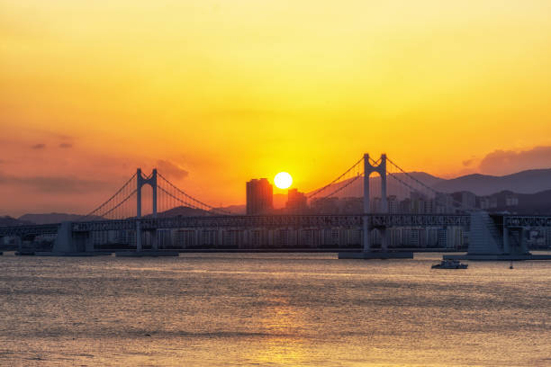 istock Busan Gwangandaegyo Bridge 1131126511