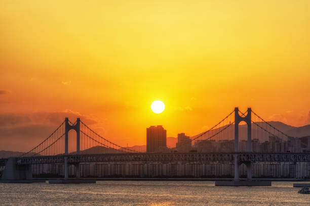 istock Busan Gwangandaegyo Bridge 1131126565