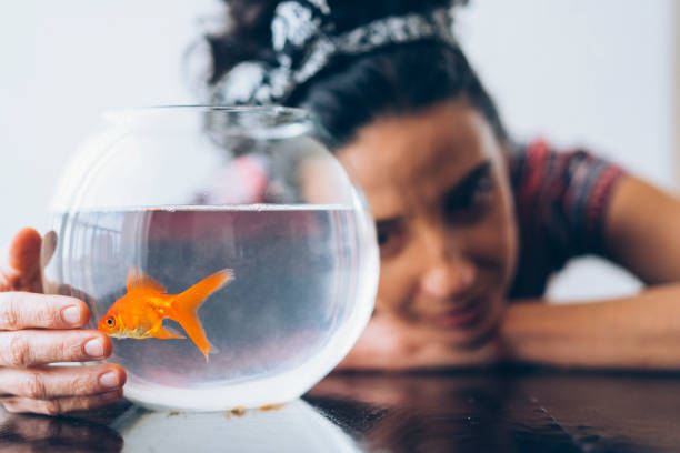 istock Woman and golden fish 1131127109
