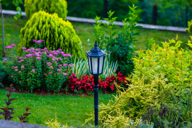istock Beautiful Backyard Full of Life 1131132634
