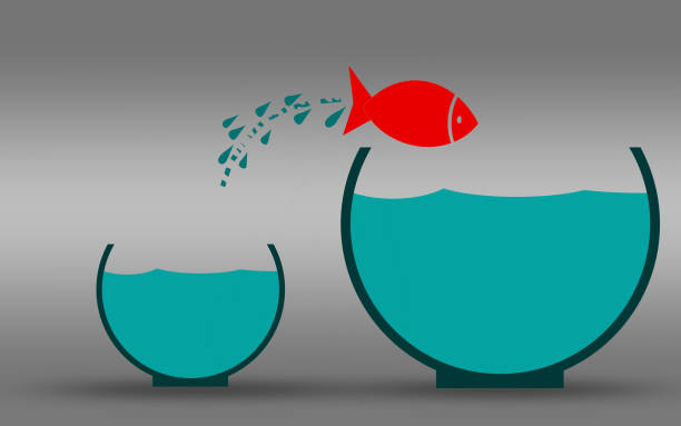 Fish jumping out of the water, improvement concept