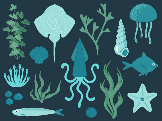 ilustraciones, imágenes clip art, dibujos animados e iconos de stock de colección de vida marina azul - jellyfish sea green underwater