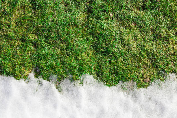 Welcome spring. Goodbye winter. White melting snow and green grass. Empty place for text, quote or sayings.