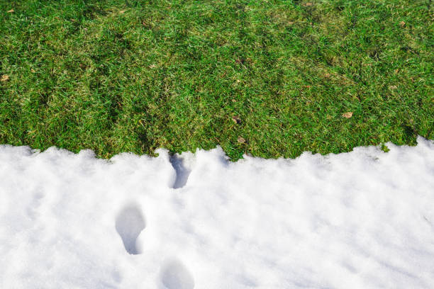 добро пожаловать весной. прощай, зима. свежие человеческие сапоги следы в белом таянии снега. пустое место для текста, цитаты или поговорки � - snow track human foot steps стоковые фото и изображения
