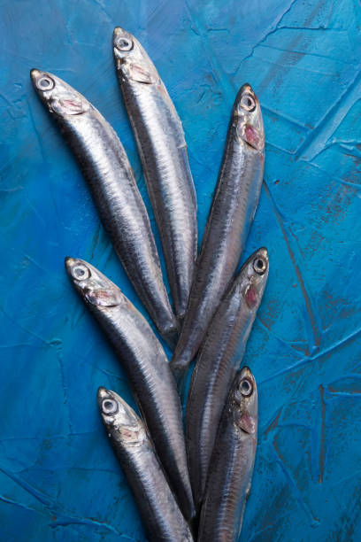 istock Fish sprats at the fish market. Fresh organic fish. 1131142417