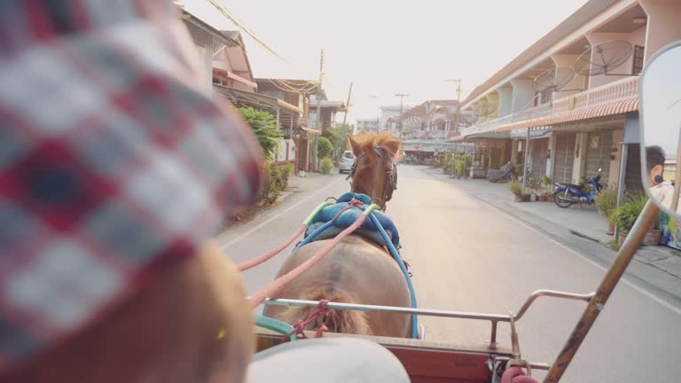 Horse taxi at the streets of Lampang