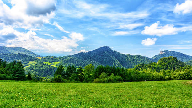 istock Picturesque mountain landscape 1131145745