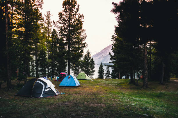 Camping tent on green grass beside lake with foggy Camping tent on green grass beside lake with foggy over forest during sunrise. Tents on the edge of a forest in the mountains in the background. altai nature reserve photos stock pictures, royalty-free photos & images