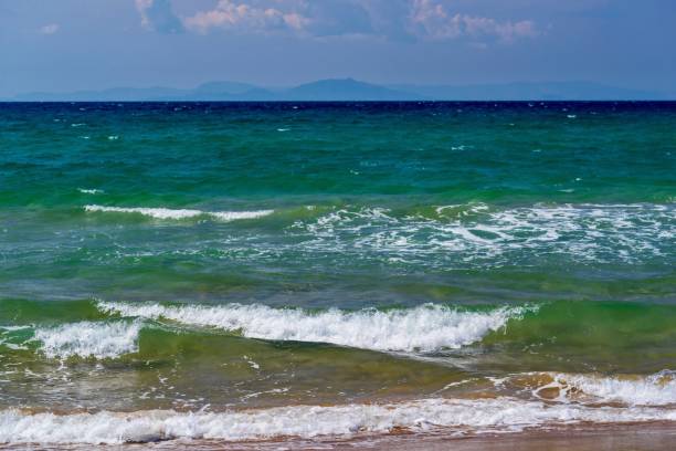 sea and coastal landscape of a surf with a white foam wave