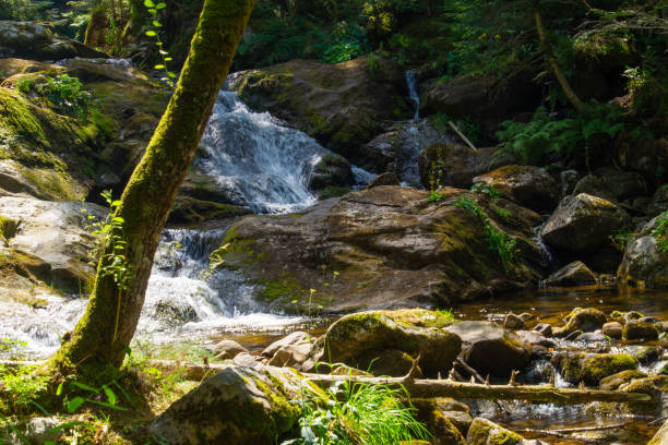 istock waterfall in the Loire in the forest 1131150122