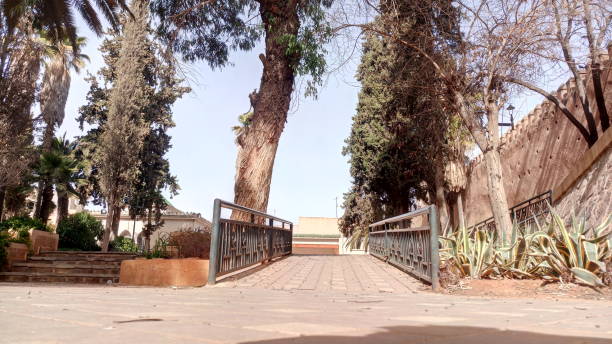istock Park LALLA Martha in Oujda in Morocco 1131153041