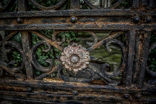 A floral detail of a decayed rusty gate