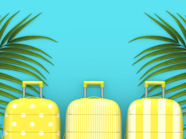 istock 3d render of three suitcases lying on palm leaves 1131162546