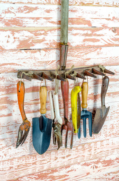 istock garden tool to the side horizontally 1131163087