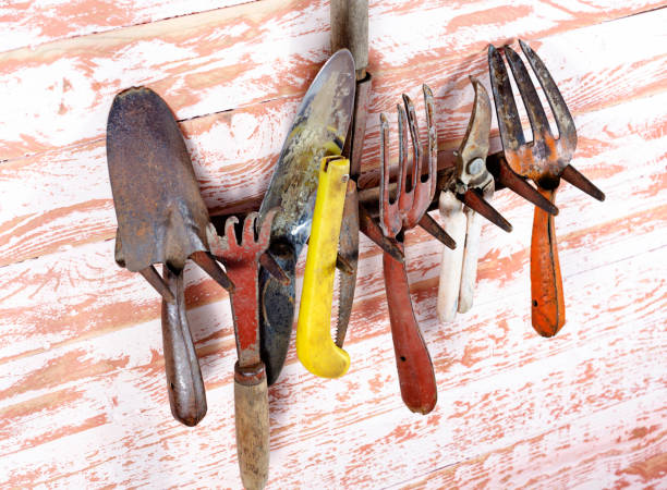 istock vintage garden tool on the side 1131163911