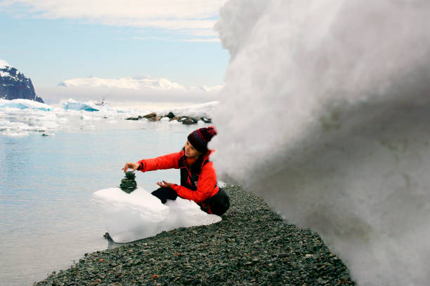 南極で岩を積み重ねる人の詳細 - penguin walking water adult ストックフォトと画像