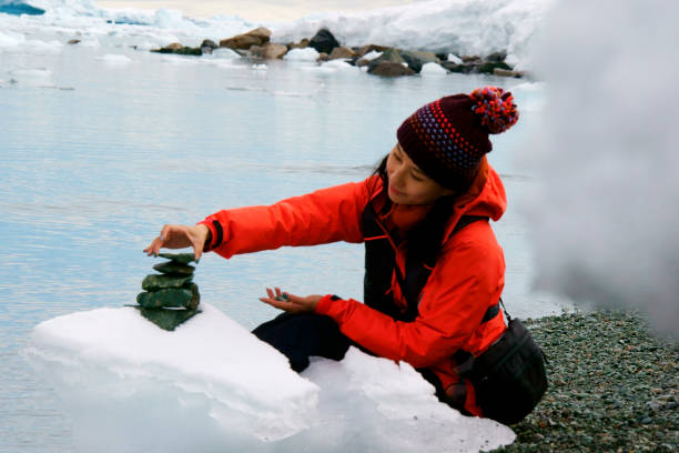 南極で岩を積み重ねる人の詳細 - penguin walking water adult ストックフォトと画像