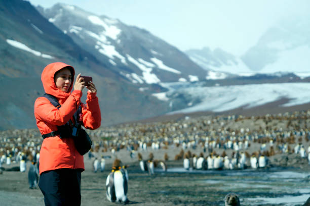 istock Women view penguins in South Georgia 1131168766