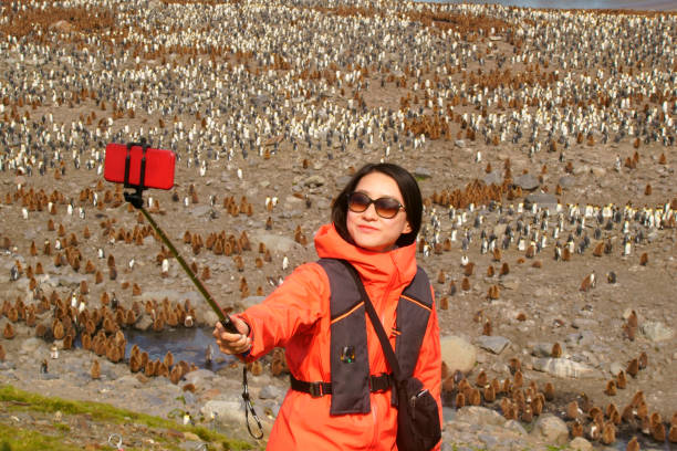 istock Women view penguins in South Georgia 1131168843