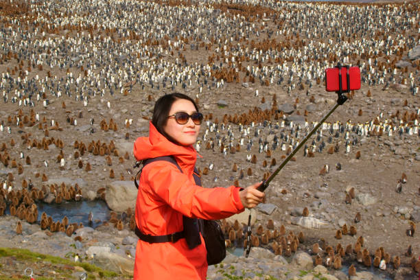 istock Women view penguins in South Georgia 1131168889