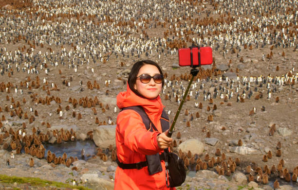 istock Women view penguins in South Georgia 1131168917
