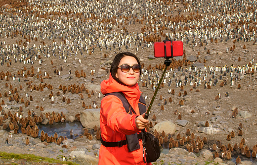 Women view penguins in South Georgia