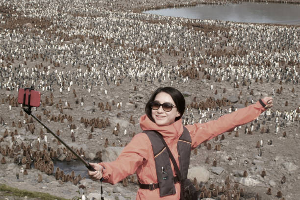 istock Women view penguins in South Georgia 1131168947