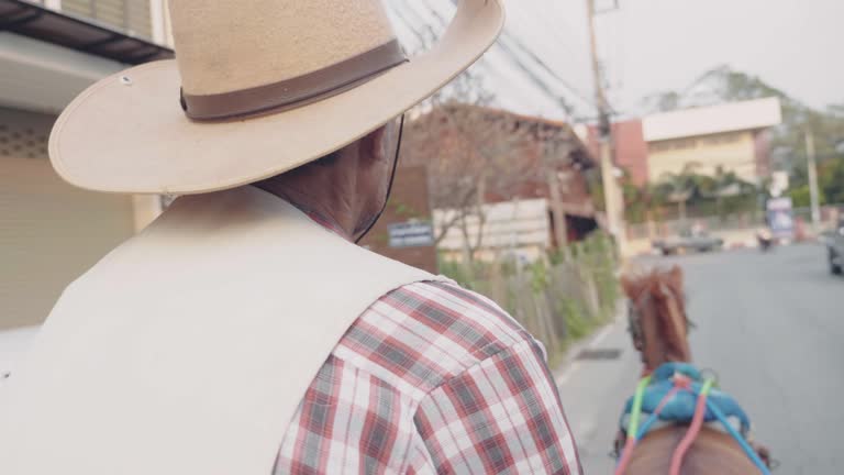 Horse taxi at the streets of Lampang