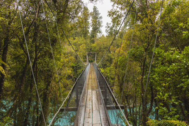 ジャングルの川を渡るロープ吊り橋 - グヌンムル国立公園 ストックフォトと画像