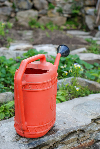 istock Watering can vegetable garden 1131170604