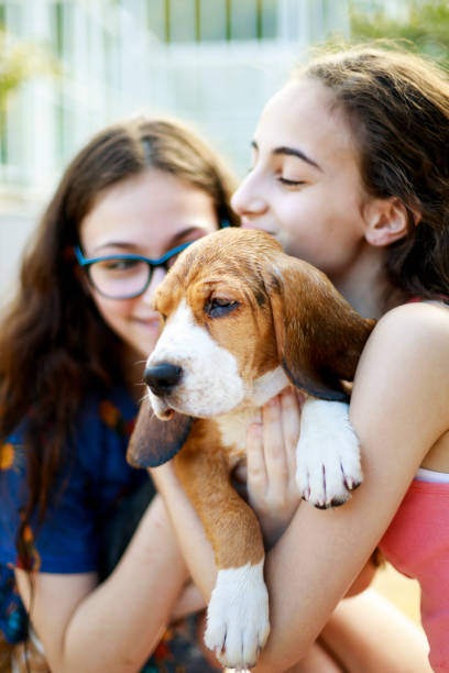 istock Young sisters hugging their puppy 1131170615