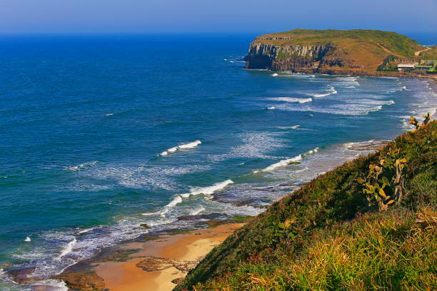 istock Above Sandy beach in Torres city with cliffs rock formations – Rio Grande do Sul 1131174252