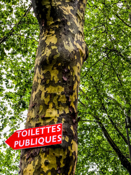 istock Public Toilette sign on a tree, France 1131174263