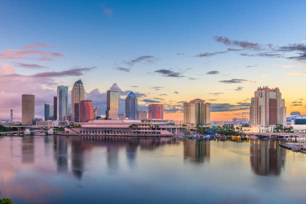 Tampa, Florida, USA downtown skyline on the bay Tampa, Florida, USA downtown skyline on the bay at dawn. gulf of mexico photos stock pictures, royalty-free photos & images