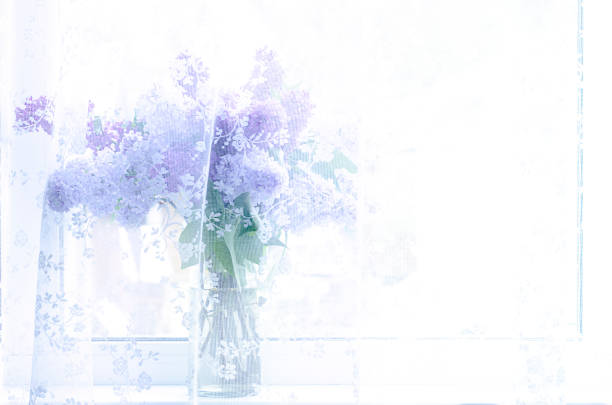 Still life in the form of a small bouquet of purple lilac branches in a glass decanter is installed by the window on a white windowsill covered with white tulle inside the countryside in summer in Sunny weather.
