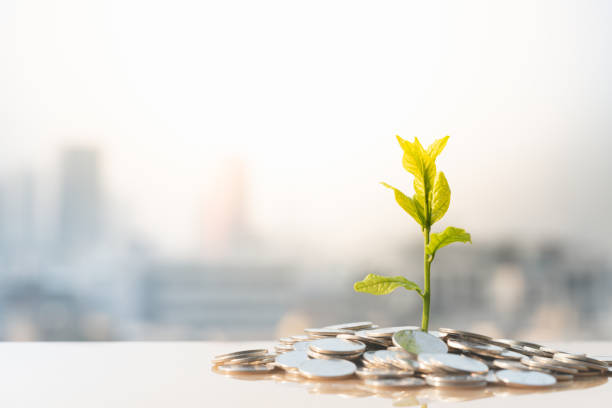 istock Business and Financial Growth concepts 1131178632