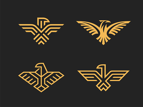 Set of 4 vector signs. Abstract eagles in a linear style.