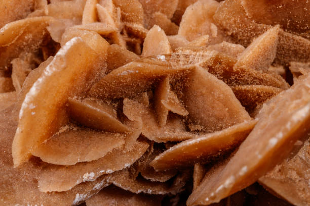 istock Macro mineral stone desert rose or sand rose on a black background 1131182051