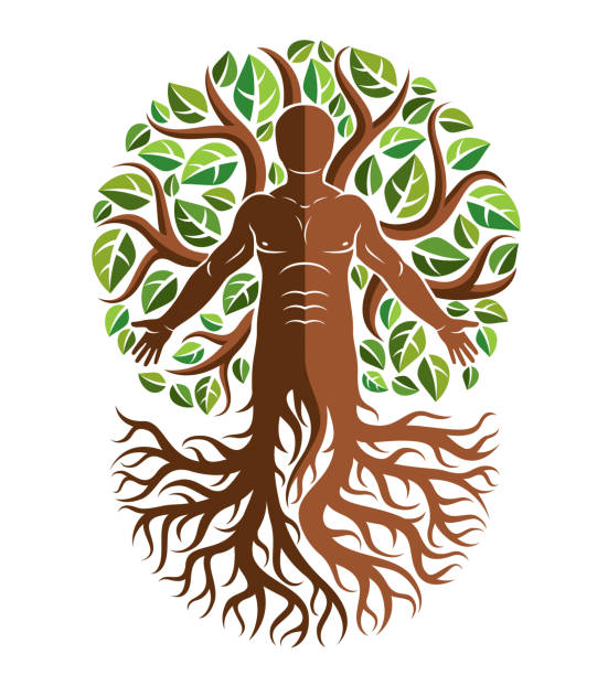 istock Vector athletic man created as continuation of tree with strong roots and organic green leaves. Green tourism, go green idea illustration. 1131184079