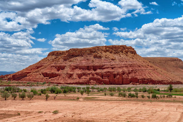 istock Desert scene in North Africa - Morocco 1131185661