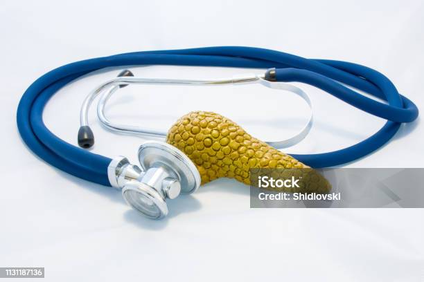 Pancreas Gland Is Next To Stethoscope And His Head Symbolizing Process Of Diagnosis Of Pancreas Diseases Identify Causes Of Increase Or Decrease Production Of Hormones And Other Endocrine Problems Stock Photo - Download Image Now