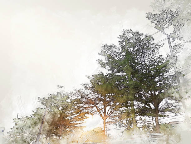 Abstract tree on watercolor illustration painting background.