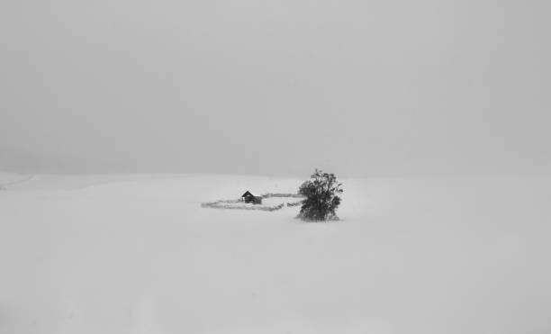 istock Black and white farm in winter 1131192076